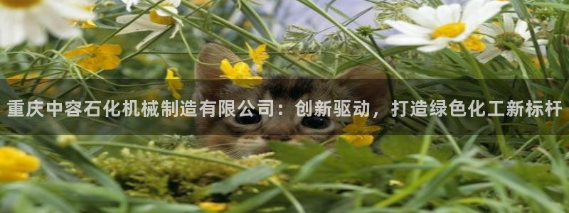 万事娱乐2