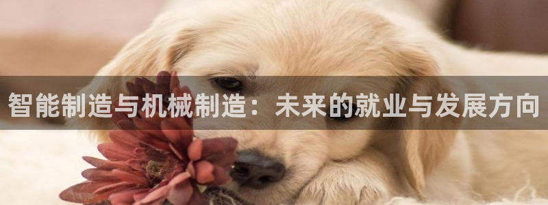 万事娱乐怎么分享会员