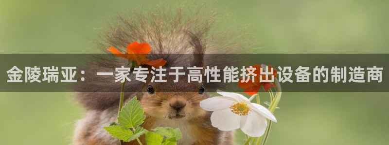 万事达娱乐d实力56262