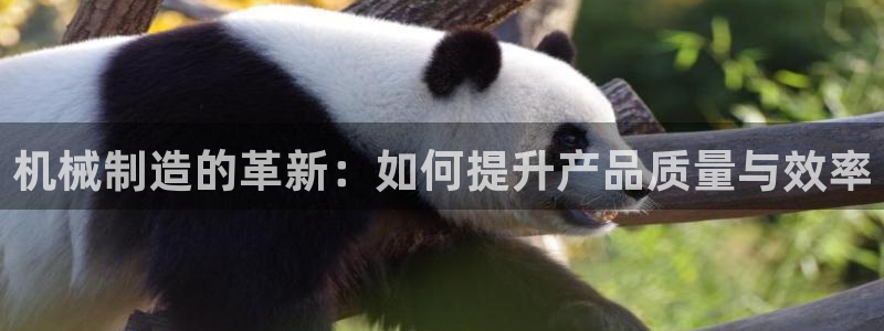 万事达娱乐网址