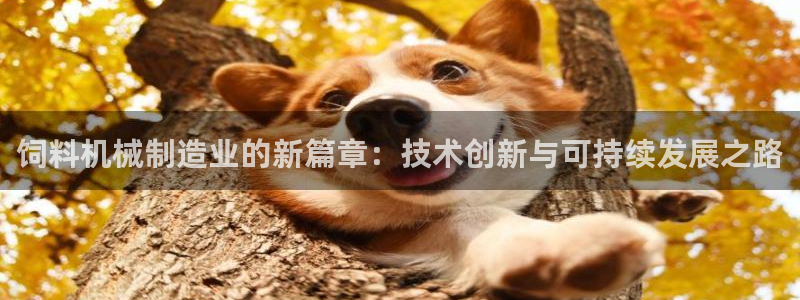 万事2娱乐怎么样